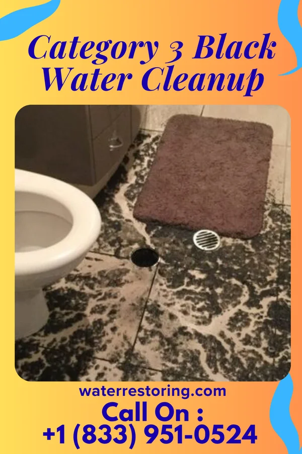 Category 3 Black Water Cleanup in Chehalis, WA