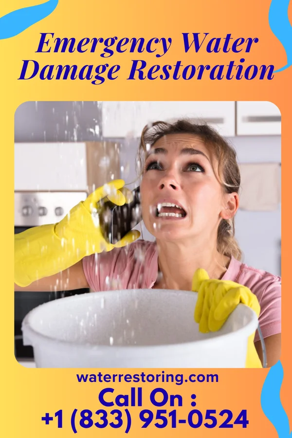 Emergency Water Damage Restoration in Chehalis, WA