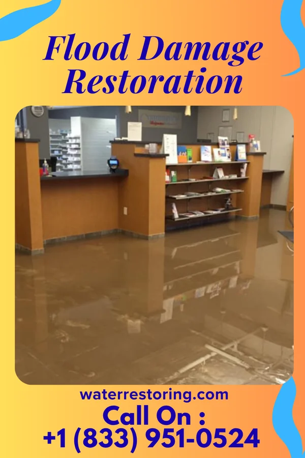 Flood Damage Restoration in Chehalis, WA