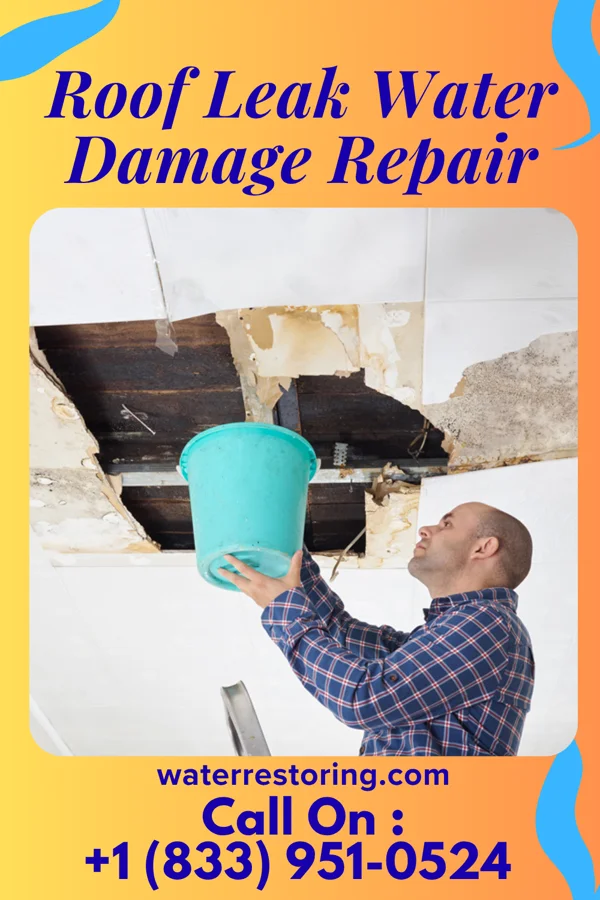 Roof Leak Water Damage Repair in Chehalis, WA