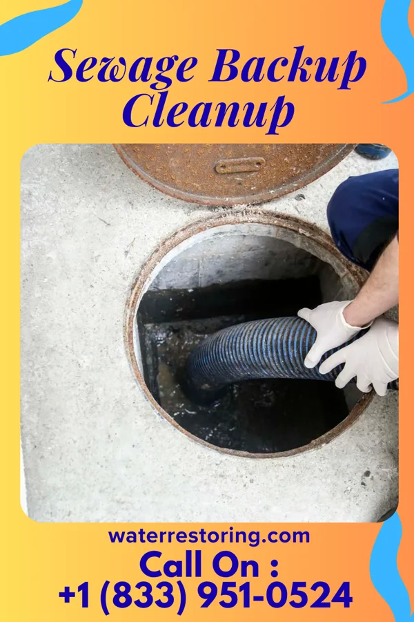 Sewage Backup Cleanup in Chehalis, WA