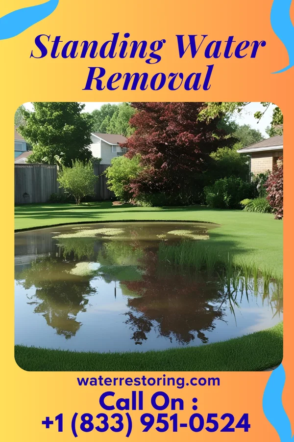 Standing Water Removal in Chehalis, WA